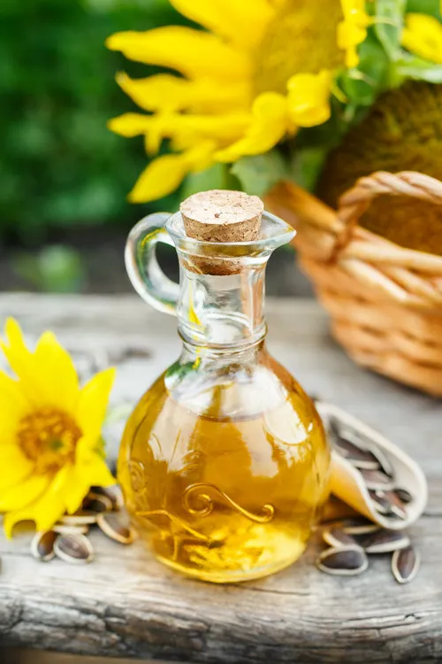 Sunflower Oil for Massage Gay Maspalomas